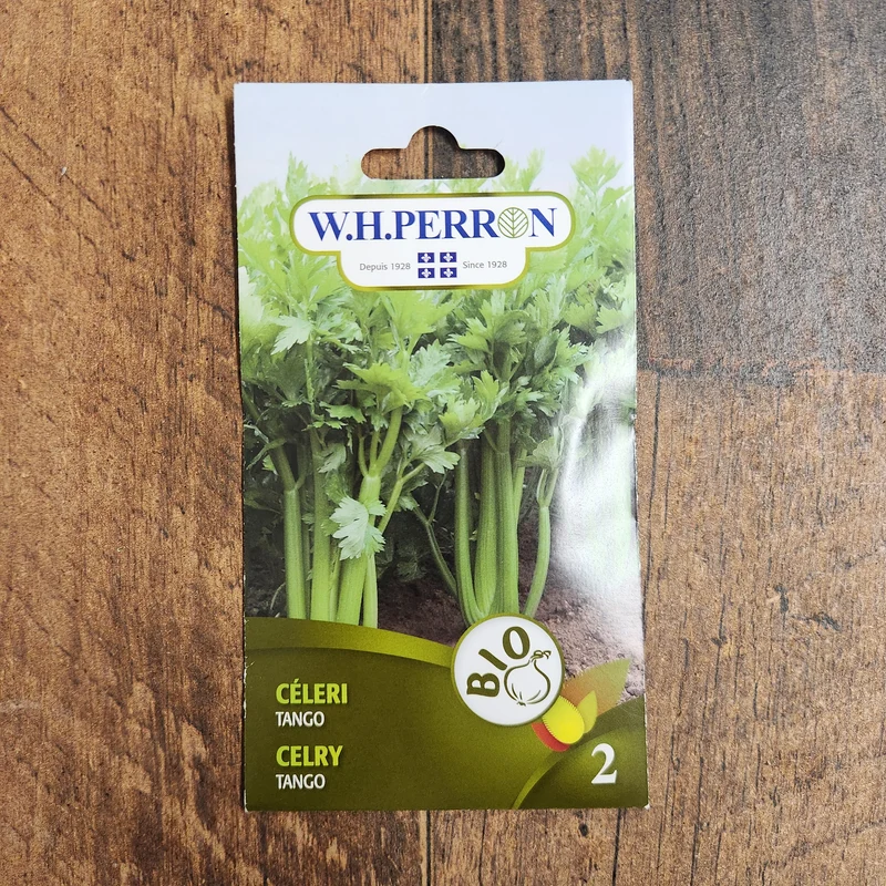 Céleri bio ( Apium graveolens var. dulce ‘Tango’)