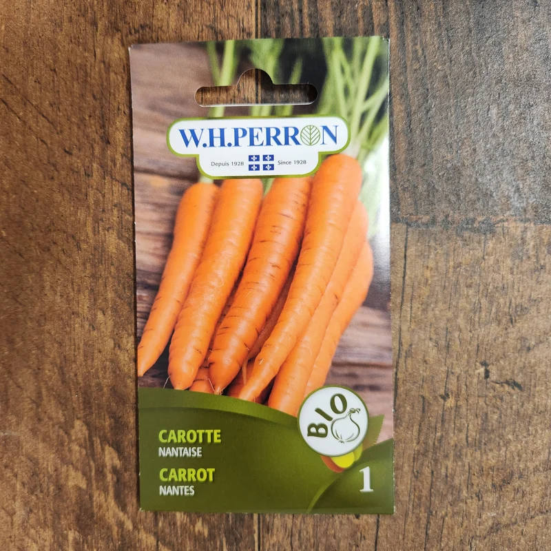Carotte bio ( Daucus carota ‘Nantaise’)