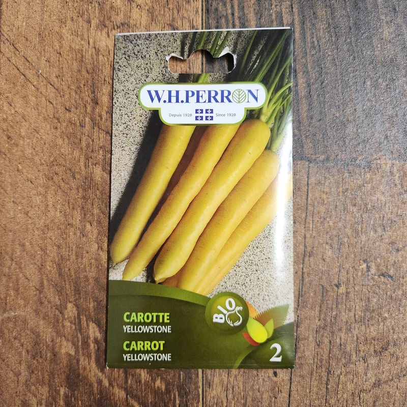 Carotte jaune bio ( Daucus carota ‘Yellowstone’)