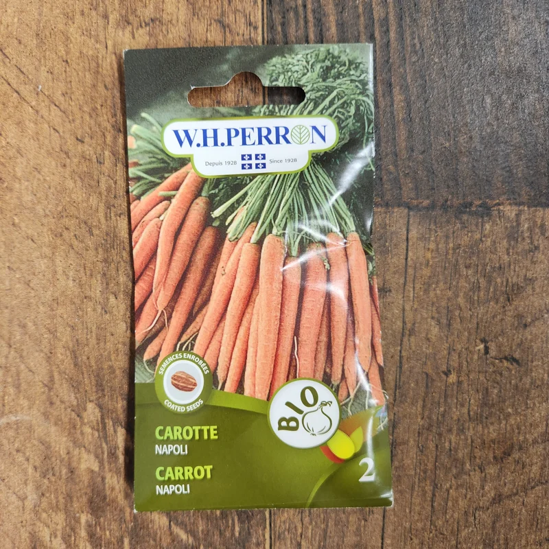 Carotte bio ( Daucus carota ‘Napoli’)