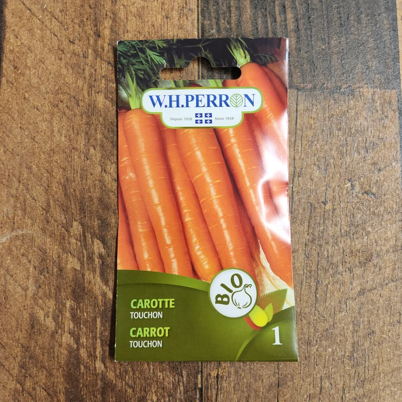 Carotte bio ( Daucus carota ‘Touchon’)