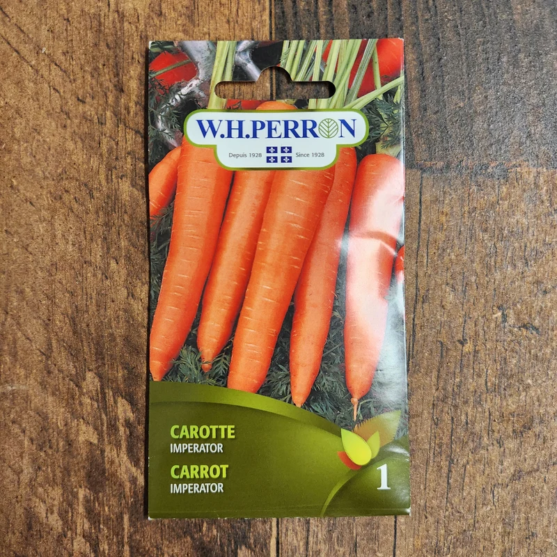 Carotte ( Daucus carota ‘Imperator’)
