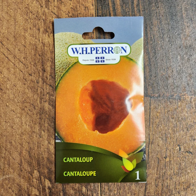 Cantaloup ( Cucumis melo )