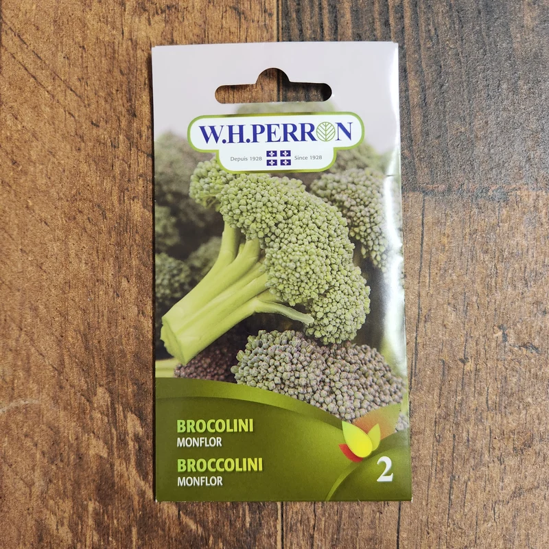 Brocoli à jets ( Brassica oleracea var. italica ‘Monflor’)