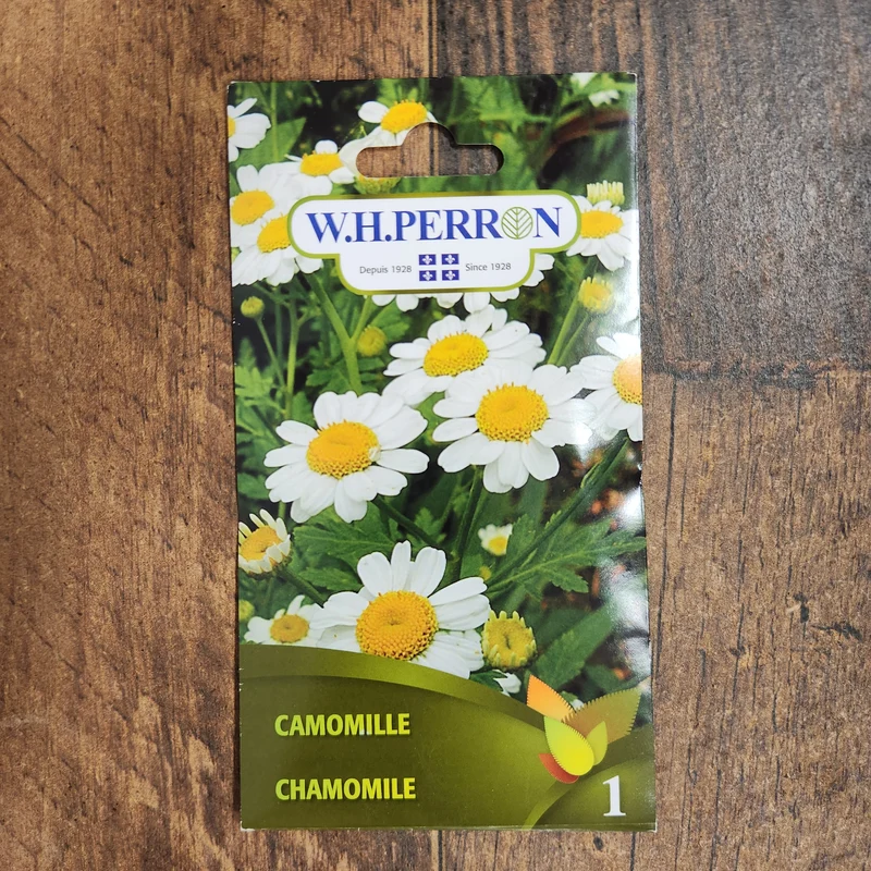 Camomille ( Matricaria chamomilla ‘Ordinaire’)