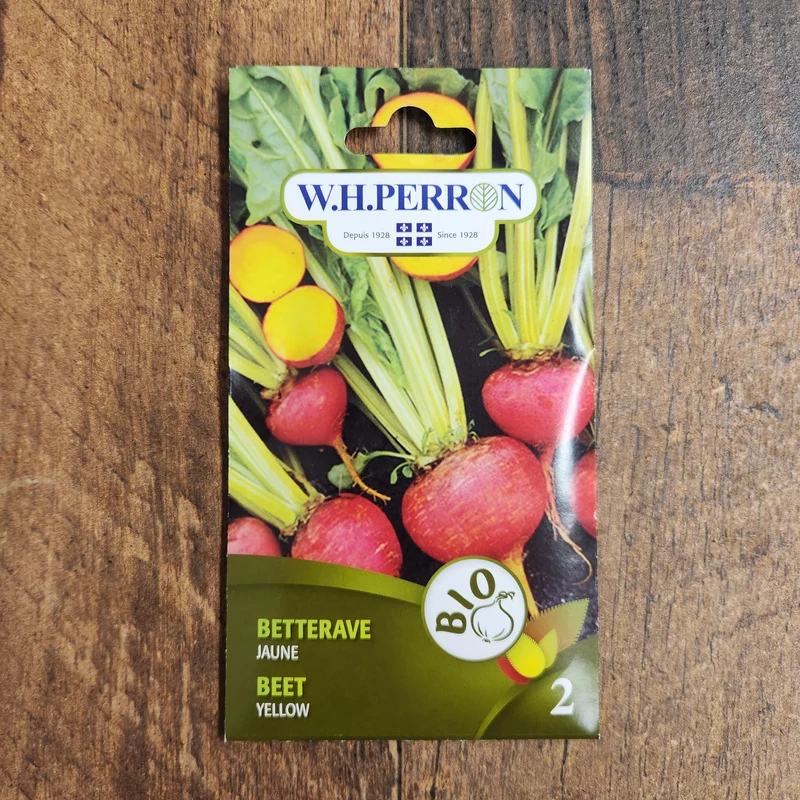 Betterave jaune bio ( Beta vulgaris )