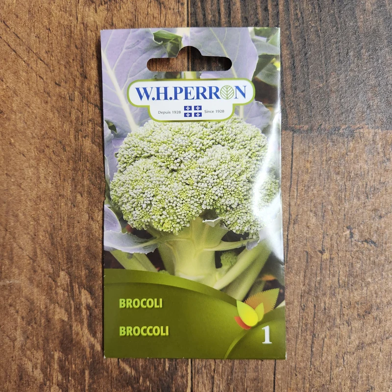 Brocoli ( Brassica oleracea var. italica )