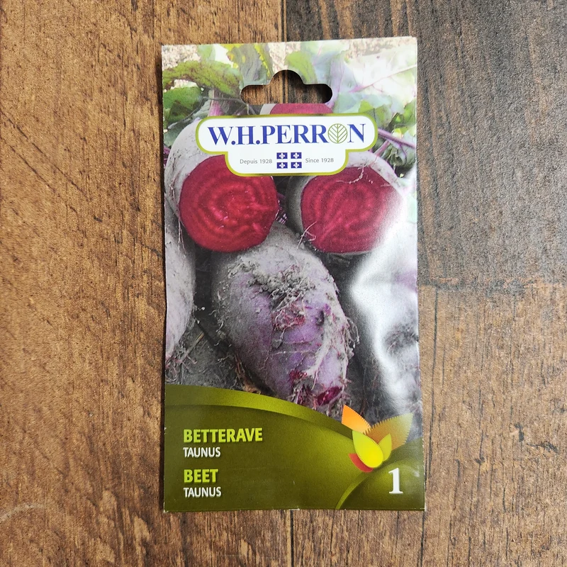 Betterave ( Beta vulgaris ‘Taunus’)