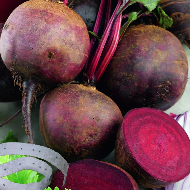 Betterave sur ruban ( Beta vulgaris ‘Boltardy’)