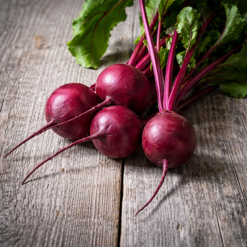 Betterave bio ( Beta vulgaris ‘Merlin’)