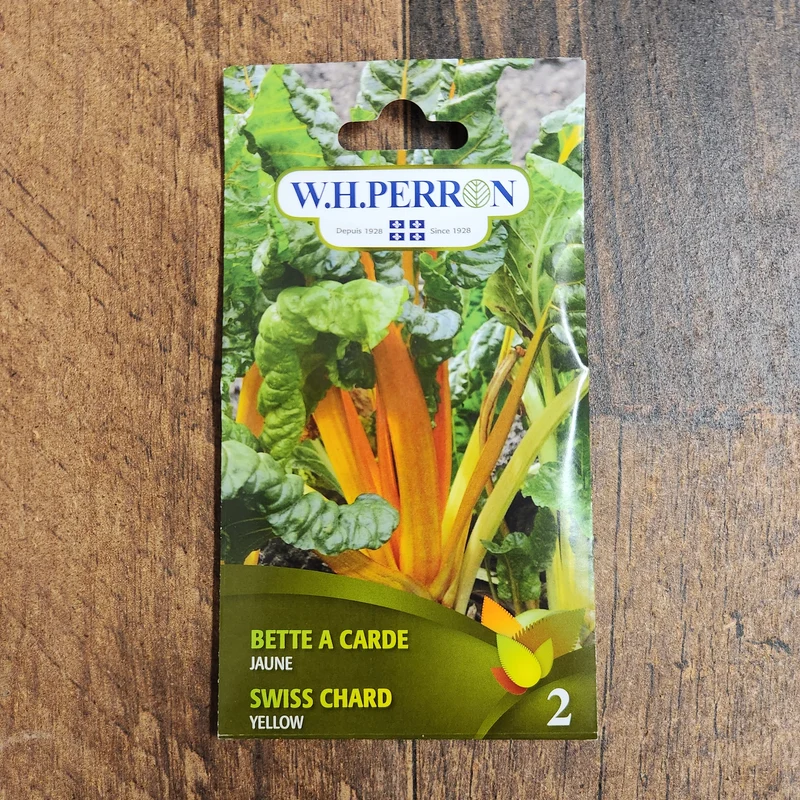 Bette à carde jaune ( Beta vulgaris )