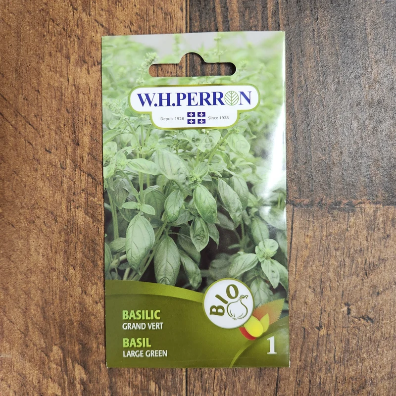 Basilic bio ( Ocimum basilicum ‘Grand Vert’)