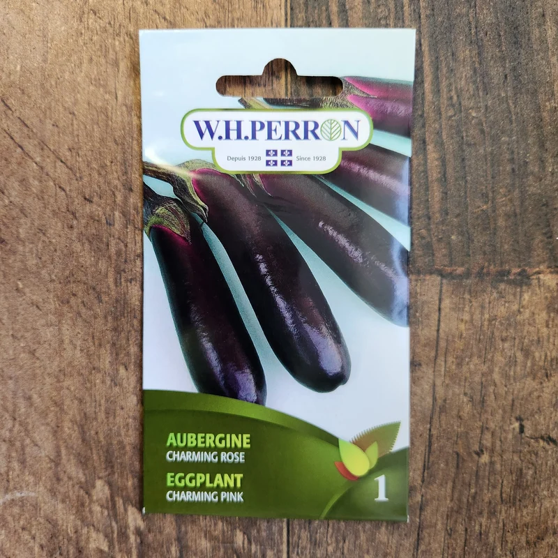Aubergine 'Charming Rose'