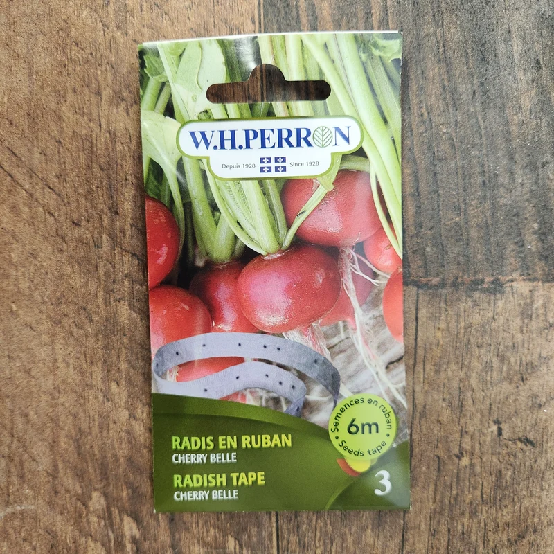Radis sur ruban ( Raphanus sativus ‘Cherry Belle’)