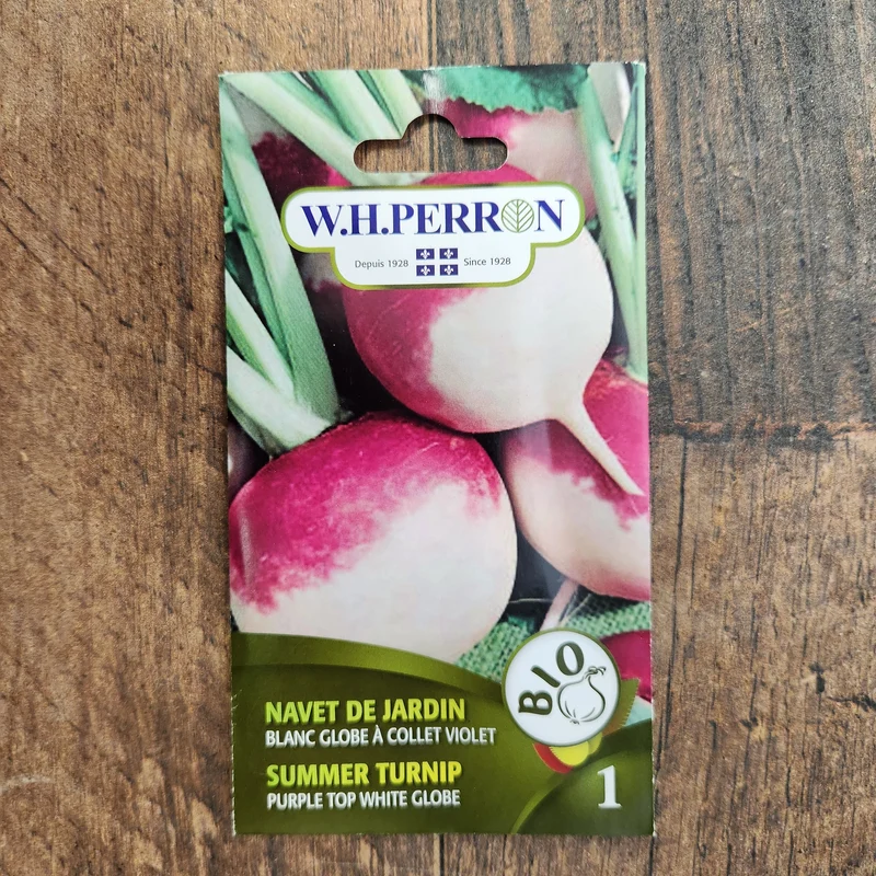 Navet blanc globe à collet violet bio ( Brassica rapa )