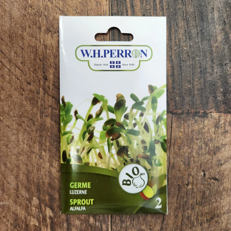 Germe de luzerne bio ( Medicago sativa )