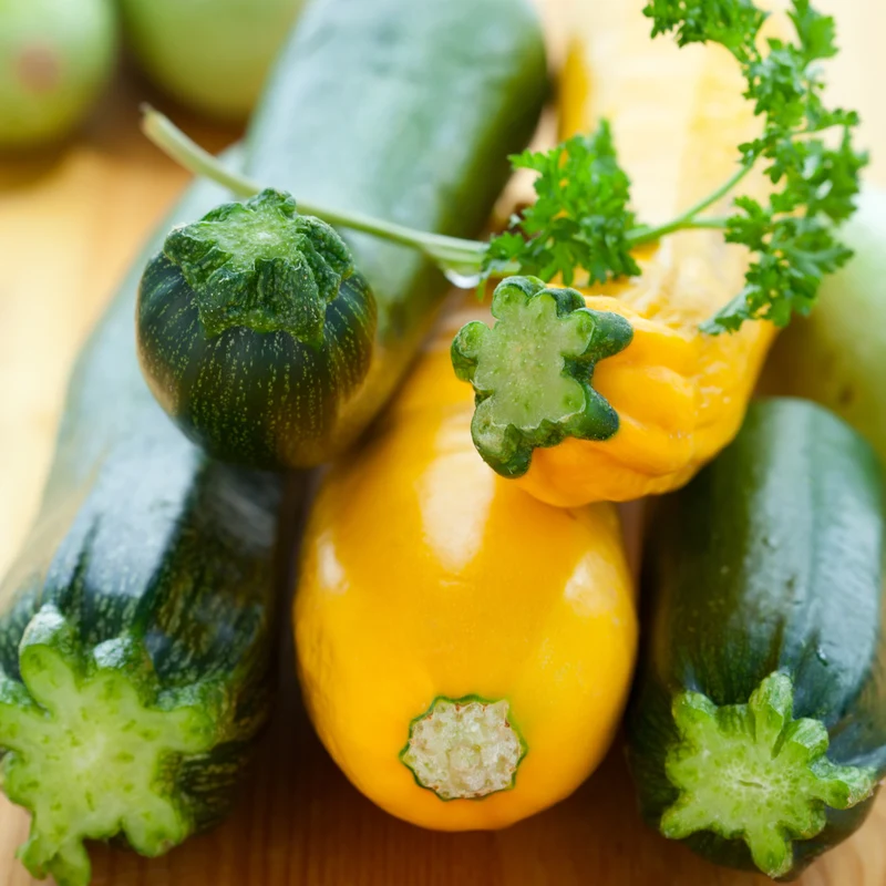 Zucchini mélange ( Cucurbita pepo ‘Easy Pick’)