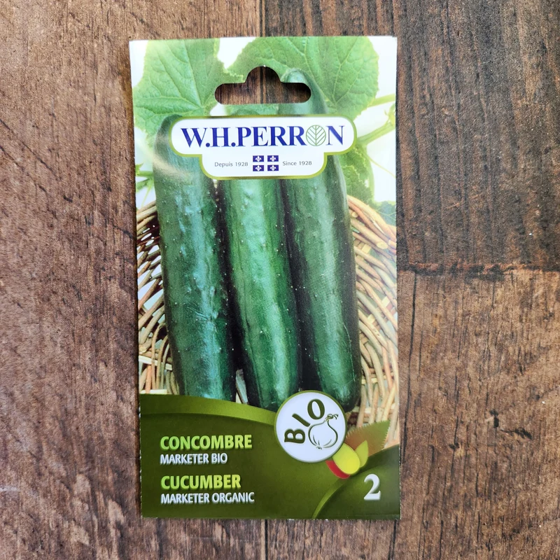 Concombre bio ( Cucumis sativus ‘Marketer’)