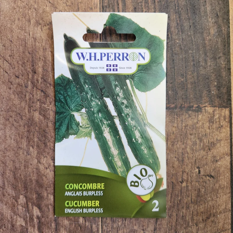 Concombre anglais bio ( Cucumis sativus ‘Burpless’)