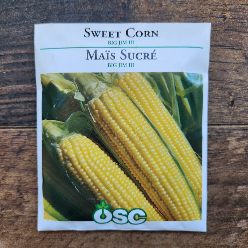 Maïs sucré 'Big Jim III'