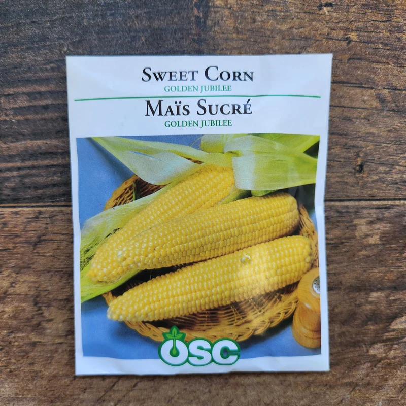 Maïs sucré 'Golden Jubilee'