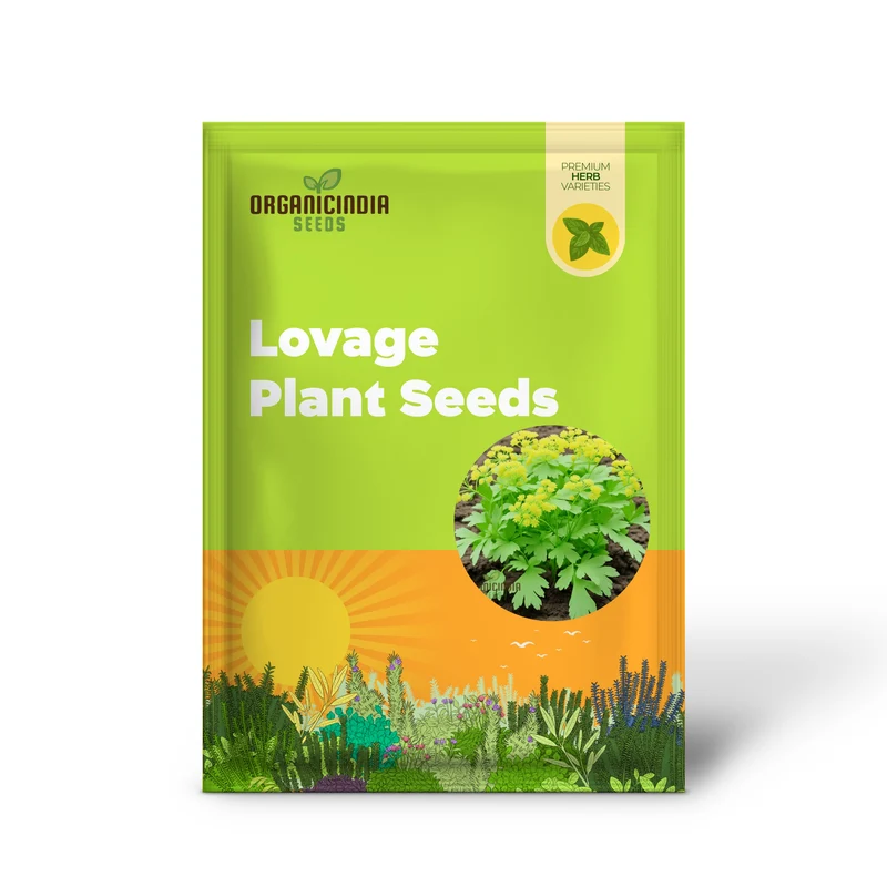 Light Green Lovage Plant Seeds – Premium Herb Seeds for Fresh Aromatic Leaves
