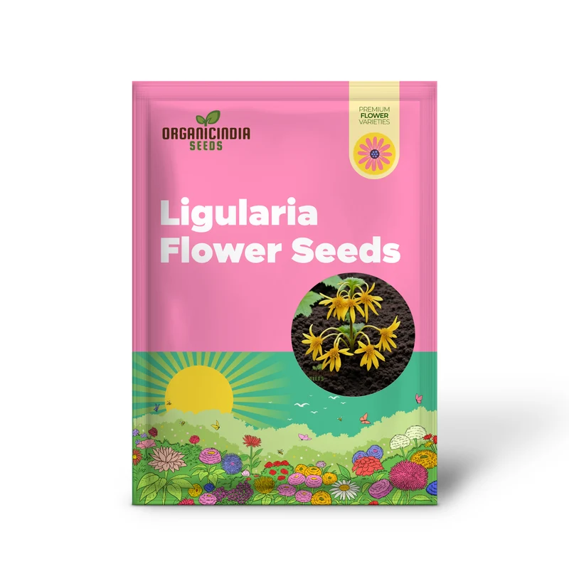 Ligularia Flower Seeds – Bold Eye-Catching Blooms & Lush Foliage for Garden Planting