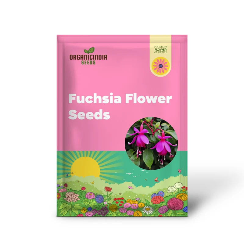 Purple and Red Fuchsia Seeds – Vibrant Hanging Garden Blooms