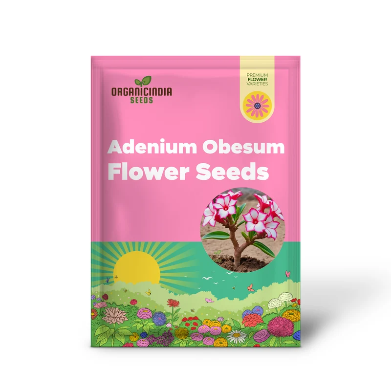 Pink and White Adenium Obesum Flower Seeds for Planting, Vibrant and Beautiful Varieties