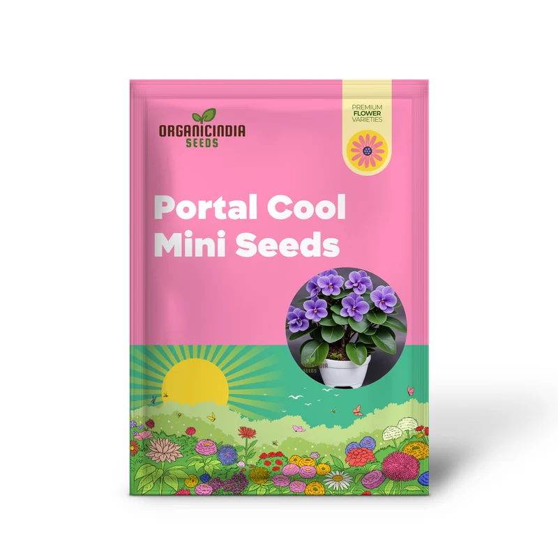 Portal Cool Mixed Color Mini Violet Seeds