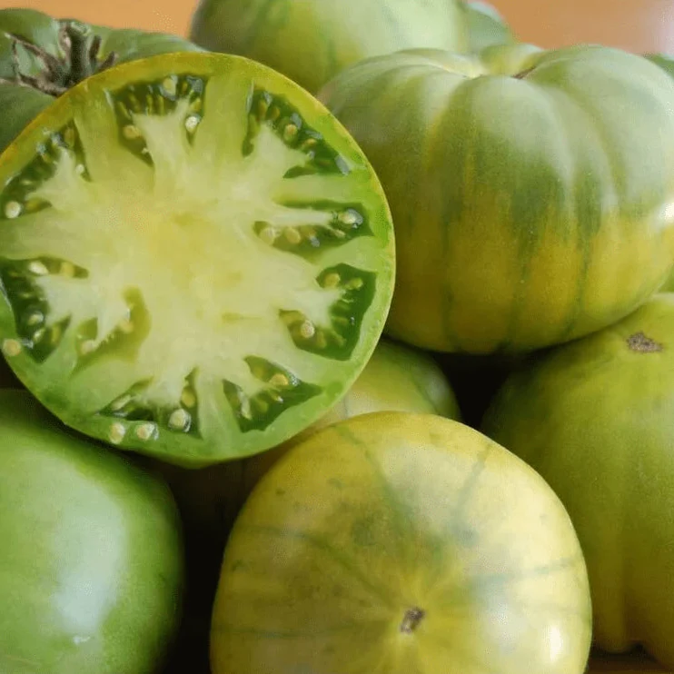 Tomate 'Aunt Ruby German Green' bio