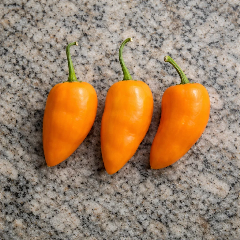 Piment fort ‘Rocoto Turbo’ ( Capsicum pubescens )