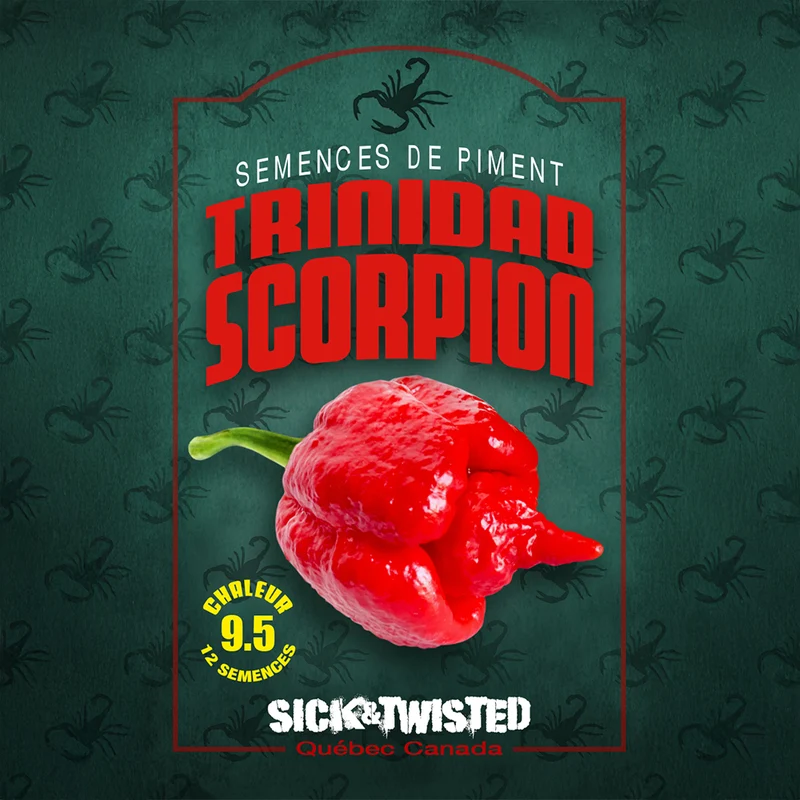 Piment fort ‘Trinidad Scorpion (Rouge)’ ( Capsicum chinense )