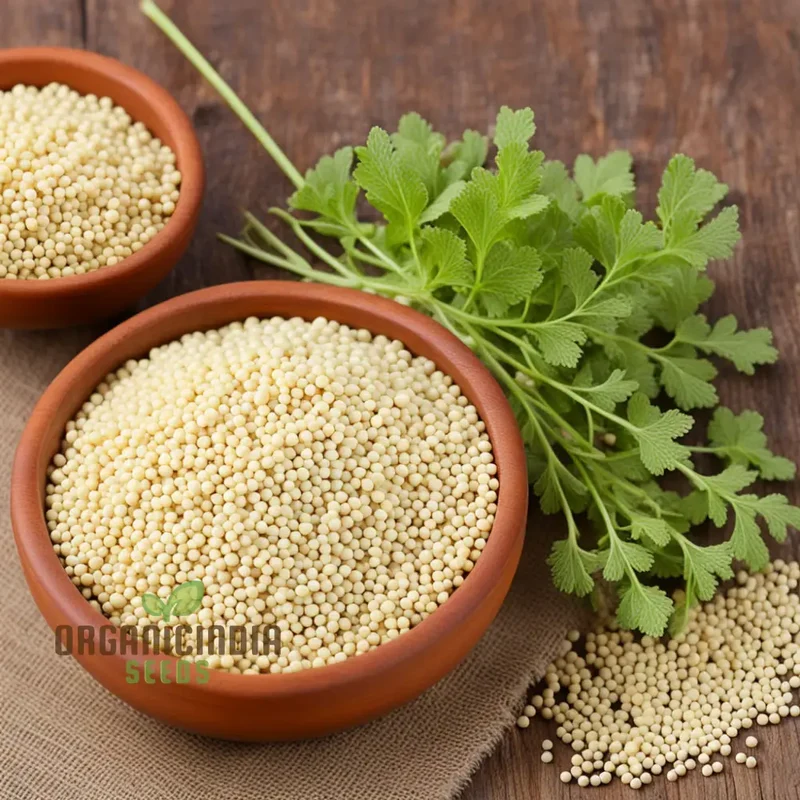 Pure Essence White Mustard Seeds – Mild Flavor, Fast-Growing Garden Variety