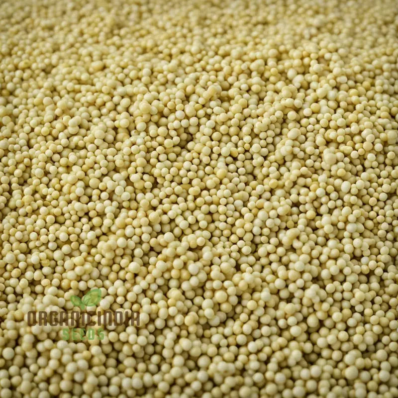 Pure Essence White Mustard Seeds – Mild Flavor, Fast-Growing Garden Variety