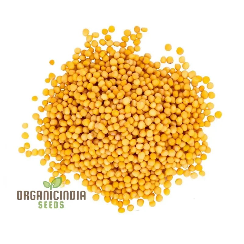 Yellow Mustard Vegetable Seeds for Planting - Perfect for Gardening Enthusiasts - High-Quality, Non-GMO Seeds for a Thriving Vegetable Garden