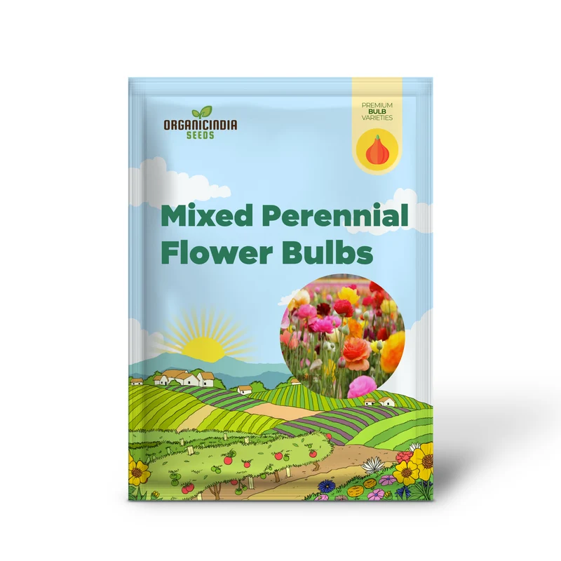 Buttercup Mixed Perennial Flower Bulbs, Magnificent Brightly Colored Double Blossom Rose Like Flowers (3 Bulbs for Planting)