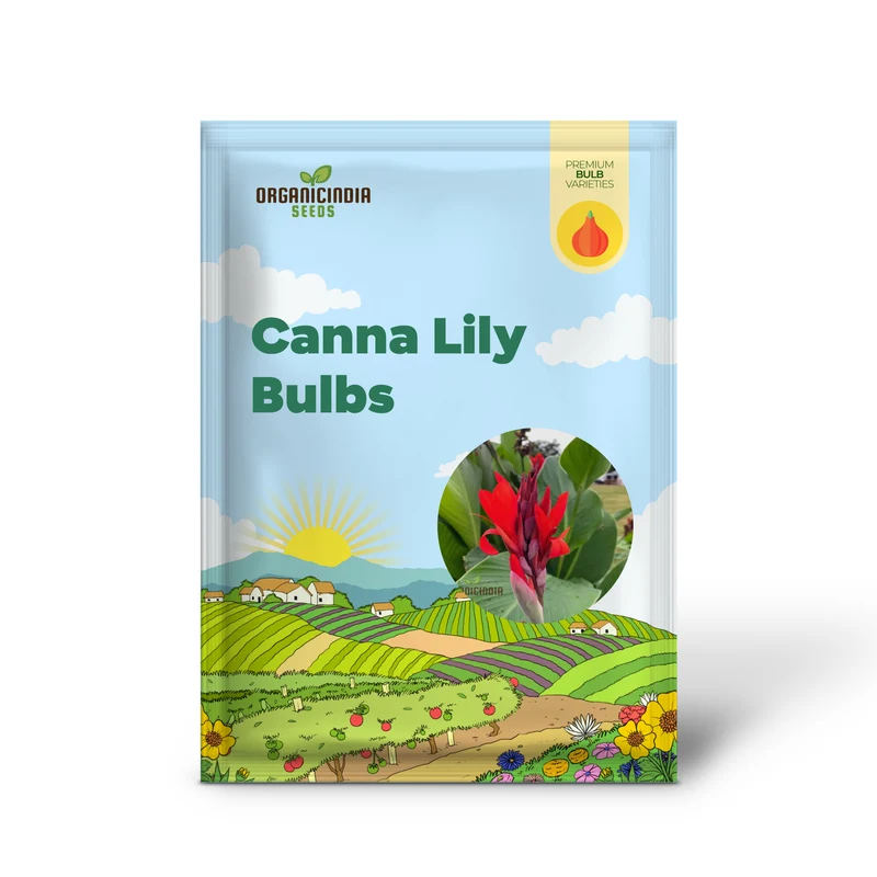 Canna Lily Bulbs - The President Red Canna Rhizomes/Bulbs/Roots (3 Bulbs for Planting)