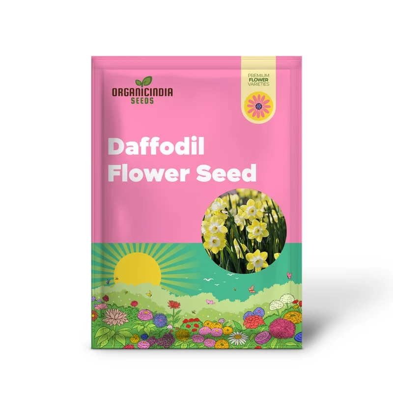 Yellow Daffodil Bulbs for Planting, Daffodil Bulbs for Fall Planting, Narcissus Flower Bulbs Perennial