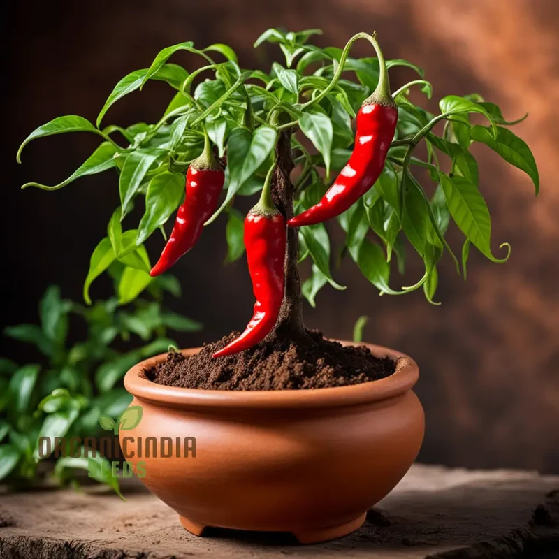 Bonsai Chilli Vegetable Seeds, Trinidad Moraga Scorpion Worlds Hottest Planting Seeds