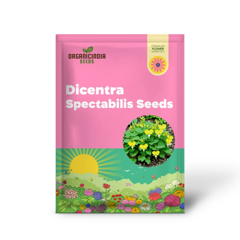 Buy Dicentra Spectabilis Seeds Premium Bleeding Heart Seeds for Beautiful Gardens