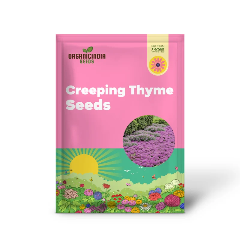 Premium Creeping Thyme flower Seeds, Aromatic Ground Cover for Lush and Fragrant Gardens