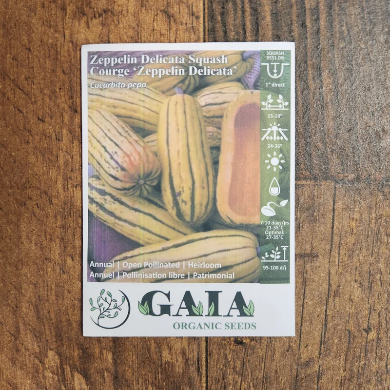 Courge 'Zeppelin Delicata' bio