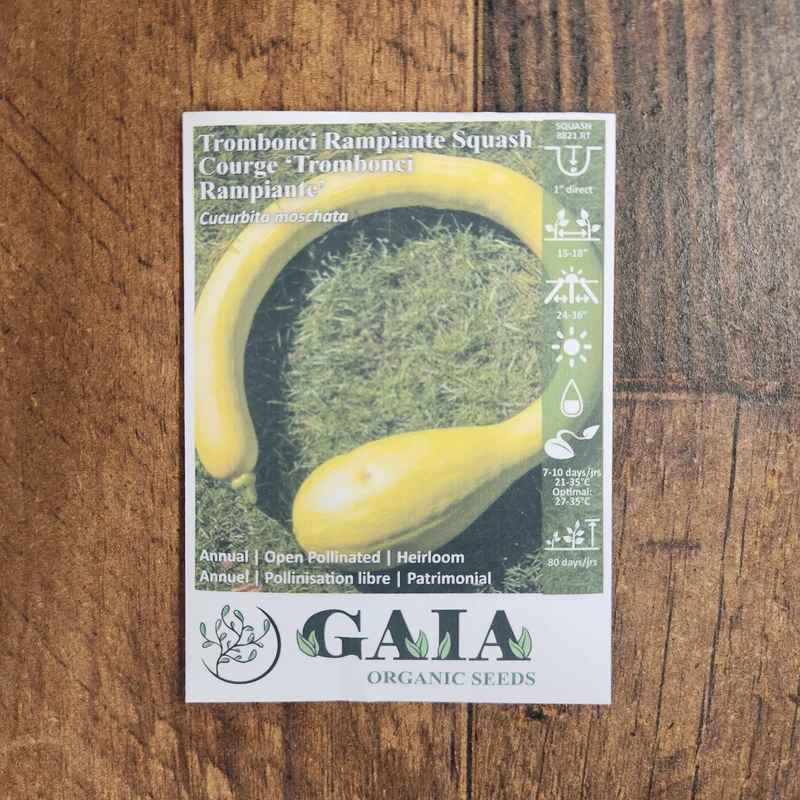Courge 'Trombonci Rampiante' bio