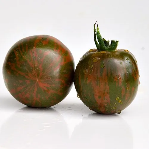 Tomate 'Black and Brown Boar' bio