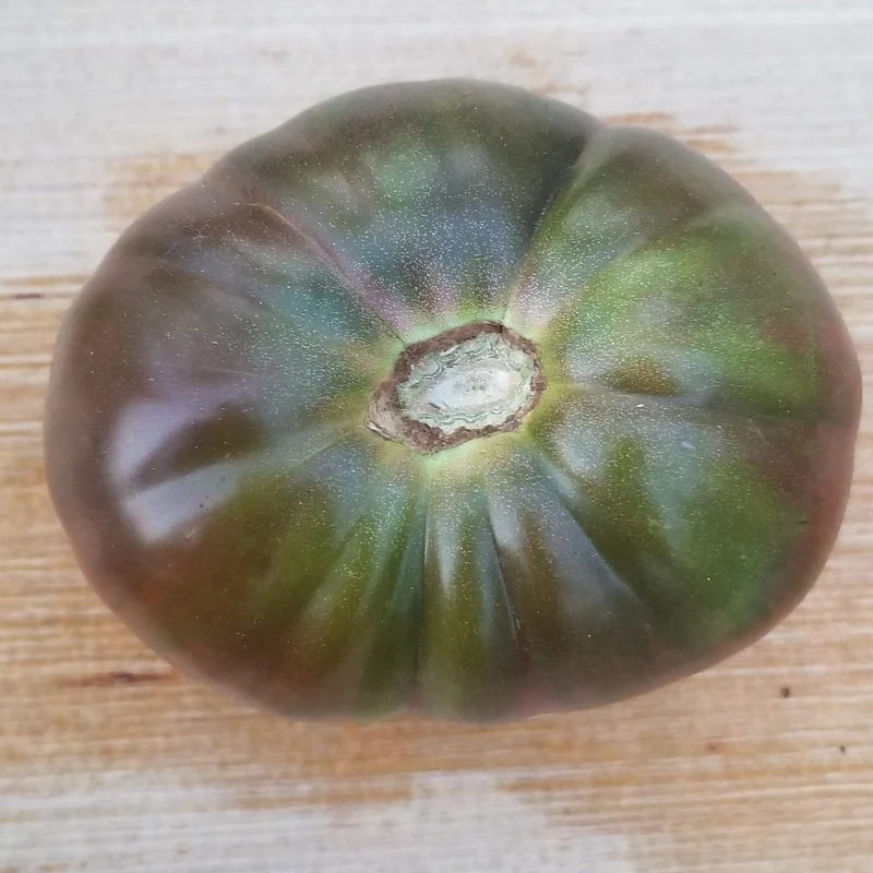 Tomate 'Black Seaman' bio