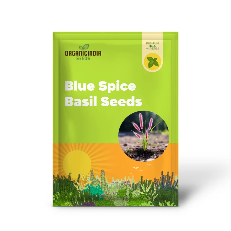 Blue Spice Basil Seeds – Fragrant Perennial Herb for Culinary Gardens