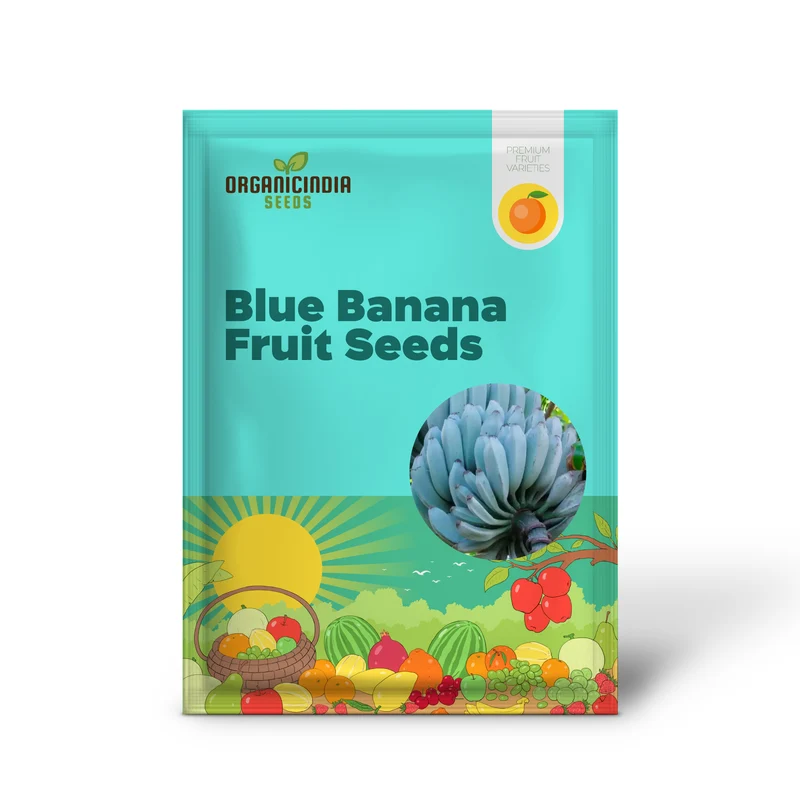 Blue Banana Fruit Seeds for Planting, Enhance Your Garden with Exotic Fruit Seeds