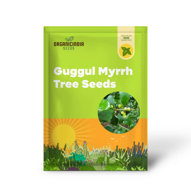 Commiphora Wightii Guggul Myrrh Tree Seeds - Cultivate Your Own Medicinal Oasis