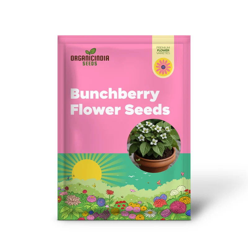 Bunchberry Flower Seeds, Nurture Your Garden with Nature's Beauty